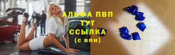 стафф Аркадак
