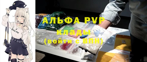стафф Аркадак